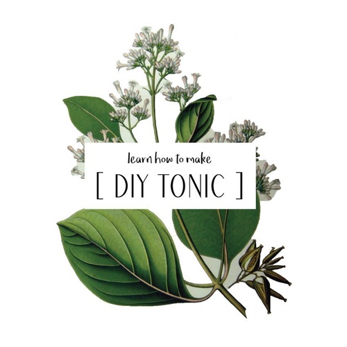 How to Make Your Own DIY Tonic [eBook]