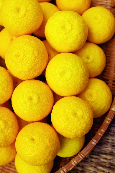 Yuzu fruit